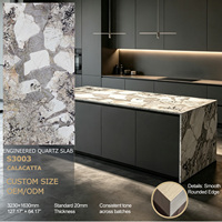 Dalle de quartz S3003 Patagonia Look, translucide pour murs et bars rétroéclairés, vente en gros