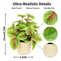 Tanaman Fittonia Buatan 27cm dengan Daun Hijau Berurat, dalam Pot Keranjang Anyaman, untuk Dekorasi Meja, Kafe, Rak