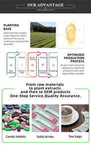 <strong>Moringa</strong> Oleifera Leaves Powder Extract <strong>Moringa</strong> Capsules <strong>Moringa</strong> <strong>Seeds</strong> - Product Image 4