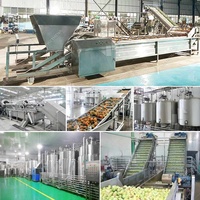 Ligne complète de production de jus d'ananas, de banane et de calamansi à petite échelle, usine de transformation de fruits de la passion et de mangues, coût Chine