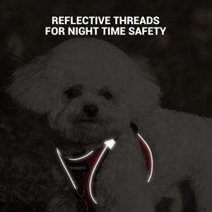 ペット用カラフルな装飾ペット用カスタマイズされたファッショナブルな小型犬用ハーネス通気性メッシュ猫ベスト - Product Image 4