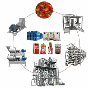 Machinerie modulaire de transformation des <span class=keywords><strong>tomates</strong></span>, équipement de traitement des <span class=keywords><strong>tomates</strong></span> pelées sur mesure, atelier de production alimentaire à petite échelle - Product Image 4