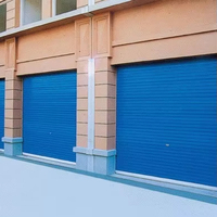 Volet roulant en aluminium résistant aux vents forts, design minimaliste, portail pratique pour supermarché, parc, usine, bâtiment