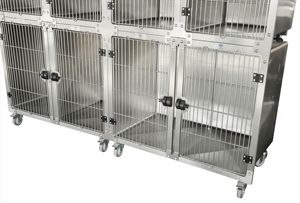Aeolus Leverancier Hete Verkoop Roestvrijstalen Hond Kat Kooi Voor Veterinaire Modulaire Banken Dier Shorline Metselaar Stapelbare Dierenarts - Product Image 5
