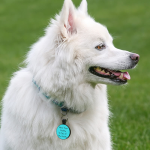 Customized Silicone Dog <b>Tag</b> Anti-lost QR Code Silicone Circle Shape Pet <b>ID</b> QR URL Collar Name <b>Tag</b> for Dog Cat - Product Image 6