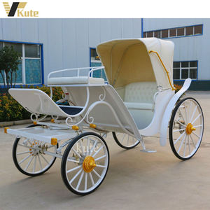 Chariot électrique à prix d'usine / Calèche de tourisme / Calèche à chevaux à vendre - Product Image 1
