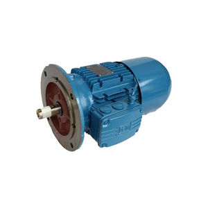 Motor de Inducción a Prueba de Explosiones WEG, Trifásico, Montaje en Pedestal, Motor Eléctrico Especial - Product Image 3