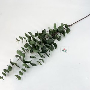 Prezzo all'ingrosso nuovo Design lungo stelo artificiale foglie di eucalipto verde fogliame pianta per la decorazione per la casa o decorazione di nozze - Product Image 3