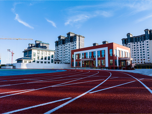 Suelo Deportivo de Poliuretano (SBR) para Pistas de Atletismo, 13 mm de Grosor - Product Image 6