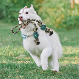 Cuerda de algodón duradera resistente a mordeduras para perros, juguete para masticar resistente a los ácaros, limpieza Dental interactiva, entrenamiento al aire libre, suministros para mascotas - Product Image 1