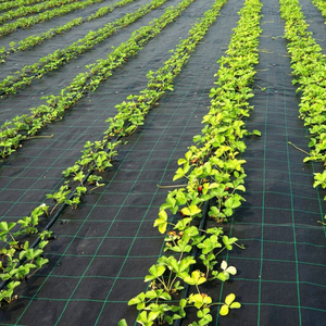 Toile tissée <span class=keywords><strong>anti</strong></span>-mauvaises herbes, tapis de paillage en PP à motif quadrillé pour aménagement paysager, toile perméable <span class=keywords><strong>anti</strong></span>-herbe - Product Image 1