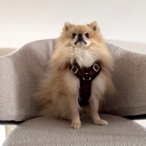 Harnais pour animaux de compagnie en peluche douce et confortable de luxe personnalisé Conception personnalisée Harnais en polaire pour chiot Harnais en sherpa pour chien - Product Image 4