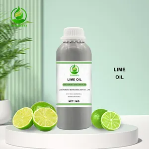 Bio kalt gepresste ätherische Öle aus Zitrusfrüchten Lieferant Bulk Natural Pure Lime Ätherisches Öl