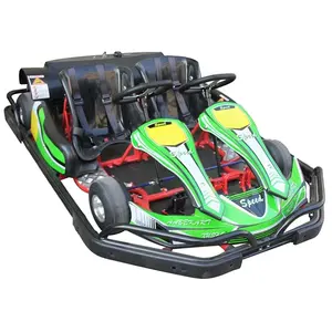 Hot Sale Amusement Rides Engine 200Cc 6.5Hp Gas Powered 2 Seat Petrol Racing Go Kart