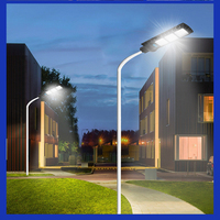 Lampadaire Solaire Intégré IP65 ABS avec Détecteur de Mouvement Crépuscule-Aube pour Routes Rurales, Cours, Allées, Faible MOQ, Logo Personnalisé