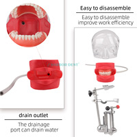 Equipo de Cabeza de Maniquí para Simulación Dental de Alta Calidad al por Mayor de Fábrica, Herramientas de Entrenamiento para Enseñanza Dental