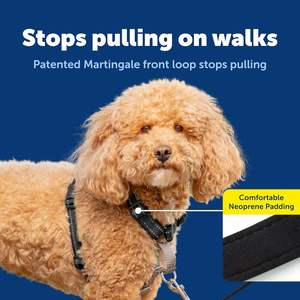 3-in-1 khai thác-thoải mái dễ dàng đi bộ con chó ngực khai thác với phía trước Dây Xích tập tin đính kèm để giảm kéo, nghẹt thở & bịt miệng - Product Image 5