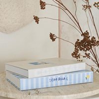 Ensemble de faux livres pliables en carton rigide rayé bleu, ornements creux pour l'affichage en boutique, à domicile ou à l'hôtel