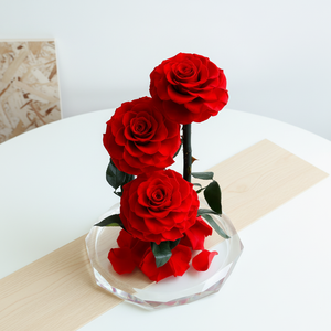 Cúpula de Cristal con 3 Rosas Preservadas Serie Grand Prince, Decoración de Boda de Lujo, Regalo de San Valentín, Personalizable al por Mayor - Product Image 6
