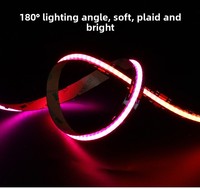 Bande LED COB intelligente RGBIC RGBCWIC flexible noire pour éclairage d'ambiance 5V 12V 24V