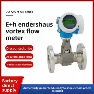 Medidor de Flujo Vortex E+H Endress Hauser para Aplicaciones de Gas, Vapor, Líquidos y Aguas Residuales, Fabricado en China Continental - Product Image 3