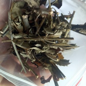 Justicia Gendarussa, Hierba de Hojas de Sauce, Plantas Herbales <span class=keywords><strong>Secas</strong></span>, Cortes de Justicia Gendarussa en Venta - Product Image 5