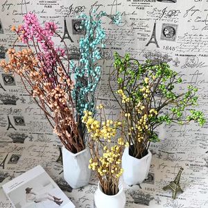 Venta Caliente de Frutos <span class=keywords><strong>Secos</strong></span> Naturales Preservados del Árbol de Sebo, Planta Decorativa, Ramo de Flores, Excoecaria Sebifera, Día de San Valentín - Product Image 6