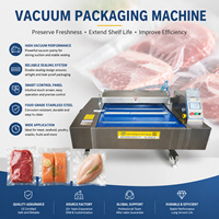 Machine d'emballage sous vide à convoyeur continu DZ-1100 pour bœuf, steak, légumes, fruits, scelleuse sous vide à double bande, emballage alimentaire