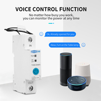Compteur d'énergie intelligent monophasé WIFI TOMZN EWeLink, surveillance de la consommation en kWh, disjoncteur, minuterie, relais pour maison intelligente 63A