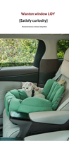 Lit de transport portable pour chat 2 en 1, nid de voyage pour chat, siège auto pour animaux de compagnie coupe-vent et chaud avec sac à main pour chats et petits chiens