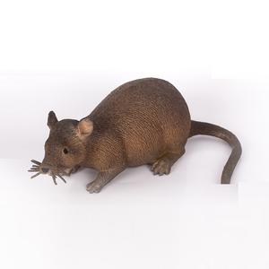 2026 juguetes más nuevos plástico suave TPR animales modelo 3D simulación ratón de goma juguete para niños - Product Image 2