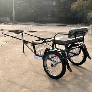 รถม้าลากเด็ก 2 ล้อ ราคาถูก ขาย - Product Image 2