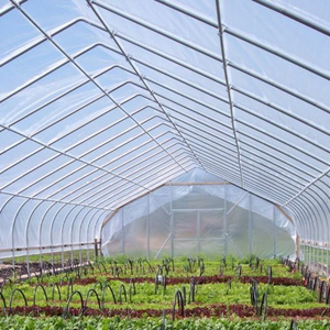 Grande bâche de serre transparente en PE résistante à la poussière, film plastique transparent favorisant la photosynthèse des cultures pour l'agriculture - Product Image 5