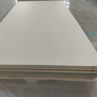 Meilleur prix fonte MC 1000*2000mm feuille de Nylon 15mm et 20mm d'épaisseur PA6 planche à découper en plastique de couleur naturelle