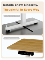 PRORIALS Table de bureau électrique ergonomique à hauteur réglable intelligente en acier, à moteur unique, pour usage commercial et professionnel