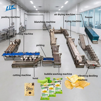 Volledig automatische industriële machine voor het maken van fruit, groente en gebakken aardappelchips, lijn voor diepvriesfrieten, aanpasbare friteuse