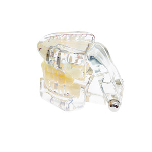 Modelo patológico hemisférico transparente, modelo dental patológico completo, modelo dental desmontable, implante - Product Image 3