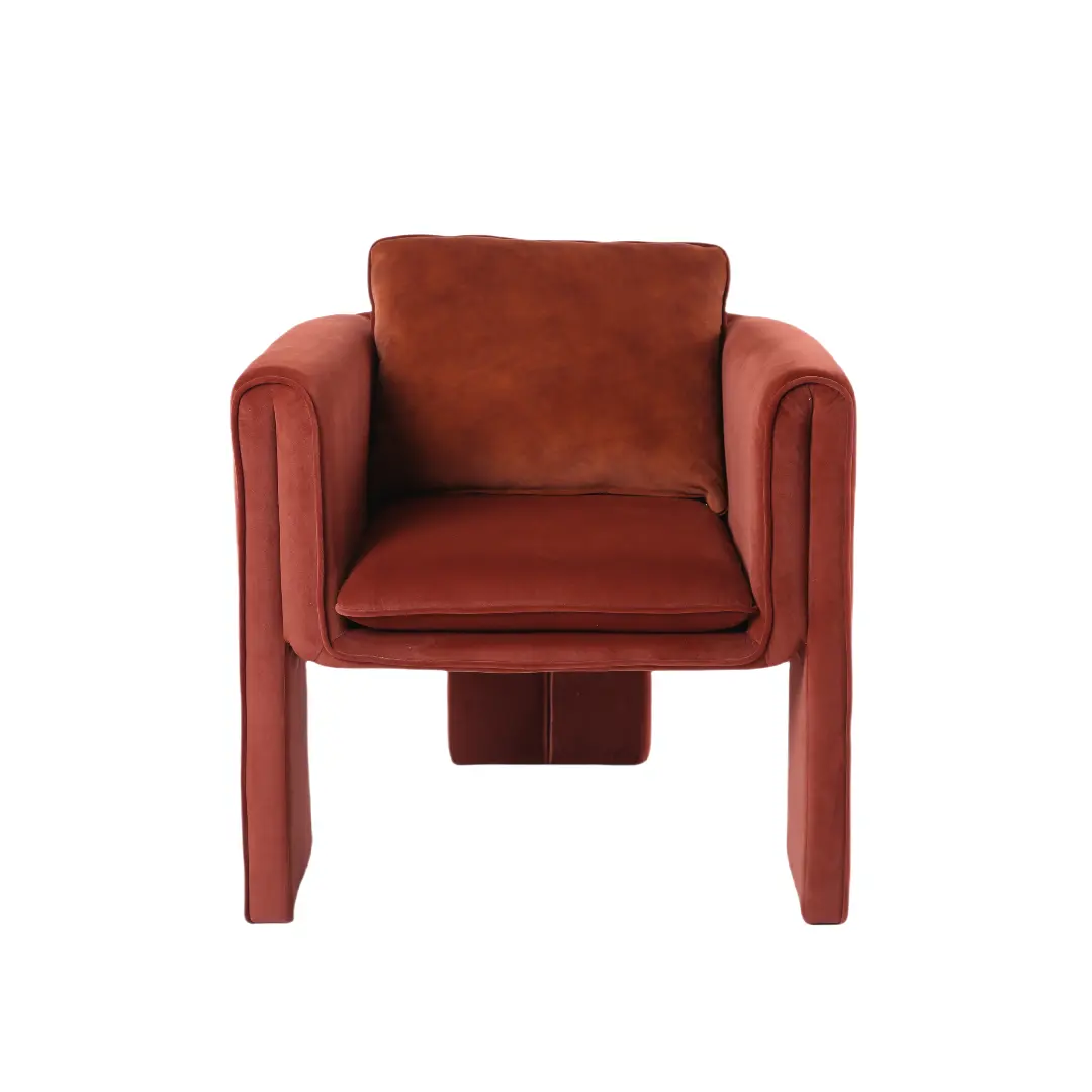 현대적인 디자인 홈 가구 패브릭 안락 의자 벨벳 독특한 모양 거실 소파 의자