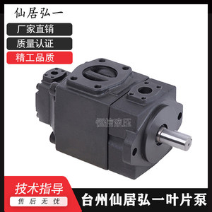 Pompe à aubes HONGYI YB-E160125-L Pompe hydraulique haute pression 160 cm - Product Image 2