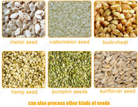 Machine à décortiquer les noix de sacha inchi, les pignons de pin, les graines de moringa, les graines de citrouille, les graines de pastèque, les graines de chanvre