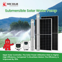 Pompe à eau solaire immergée WHC SOLAR pour puits de 4 pouces, 12V, haute pression, pompes solaires DC