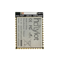Módulo de Desarrollo de Automatización Inteligente Holyiot BLE5.0 de Bajo Consumo con Tecnología Mesh, Placa de Desarrollo 18010 con Módulo Nordic NRF52840