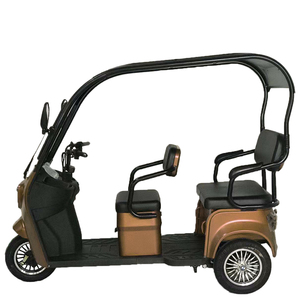 Nuevo Diseño, Triciclo de 3 Ruedas para Adultos, 800W, 60V, con Techo, en Venta - Product Image 4
