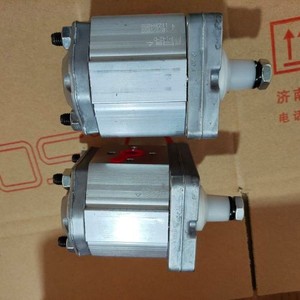 ปั๊มเกียร์ Atos รุ่น Pfg-210-D ผลิตในอิตาลี ปั๊มไฮดรอลิกแรงดันสูง - Product Image 4