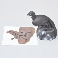 Archaeopteryx Modèle anatomique en plastique Modèles de restauration Origine des oiseaux Théorie de l'évolution Instruments d'enseignement de la paléontologie