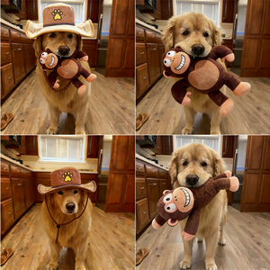 Nuevo Juguete de Peluche Resistente para Perros, Juguete Interactivo para Morder y Jugar a Tirar de la Cuerda, con Relleno y Sonido - Product Image 4