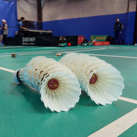 Volant de badminton en plumes de canard de qualité supérieure, conception robuste pour un vol stable et durable, idéal pour l'entraînement en extérieur pour les joueurs de club