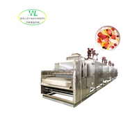 Machine de séchage à convoyeur à bande de Chine avec PLC et moteur 63,75 kW pour abricots, pruneaux, prunes, poivrons noirs