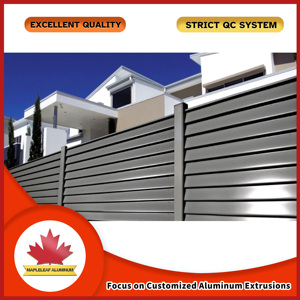 Phật sơn nhà máy ngoài trời hàng rào an ninh với kim loại sắt nhôm bảng điều chỉnh cho nhà vườn nhựa khung thép đường lái xe cửa - Product Image 3