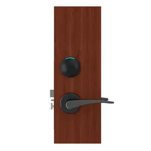Orbita Aesthetic Design with Hidden Cylinder RF Card Door Lock